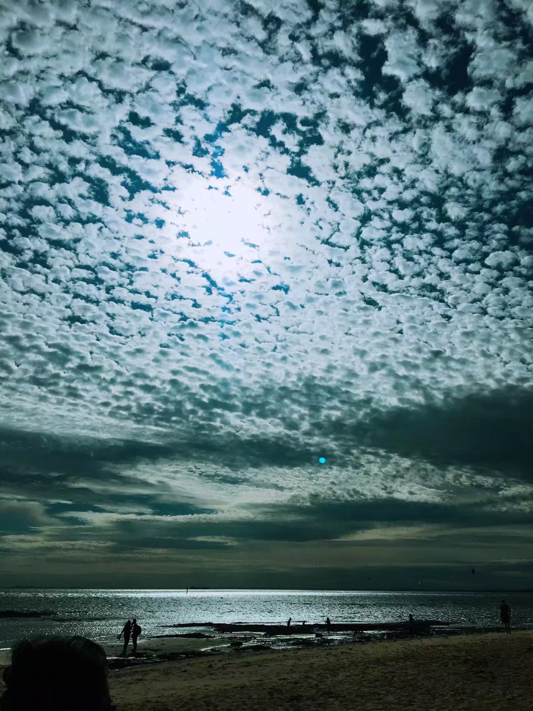 手拍世界（手机摄影交流平台）-群员作品集（第12期）