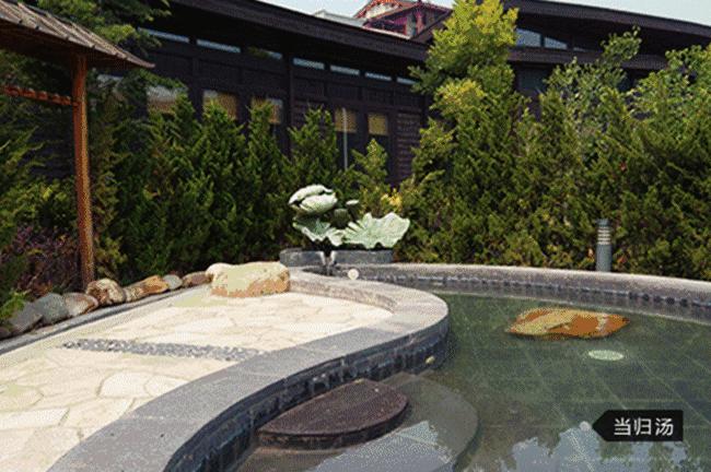 大连周边温泉度假村排名榜,大连汤本汤温泉门票价目表