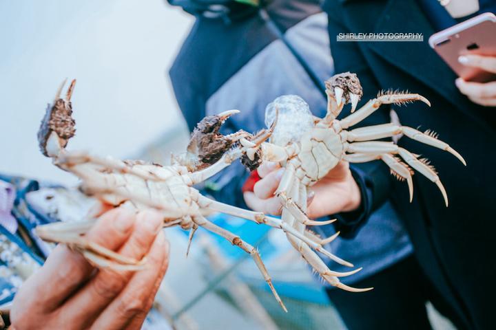 吃蟹游玩攻略,一场关于上海的旅行