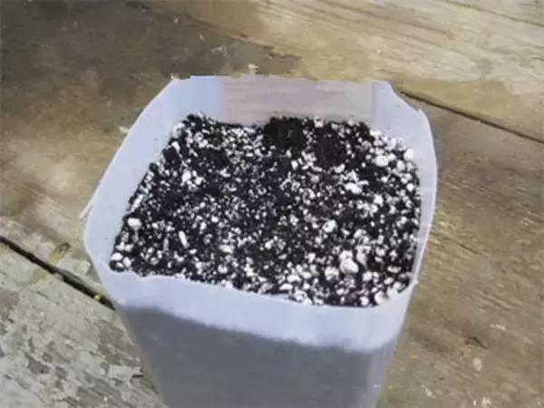 小瓶子手工制作小东西养花,省钱10大养花神器1个塑料瓶做出来