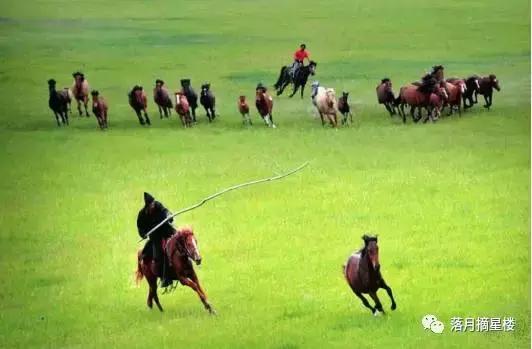 行走在呼伦贝尔大草原视频 (行走在呼伦贝尔纪录片)