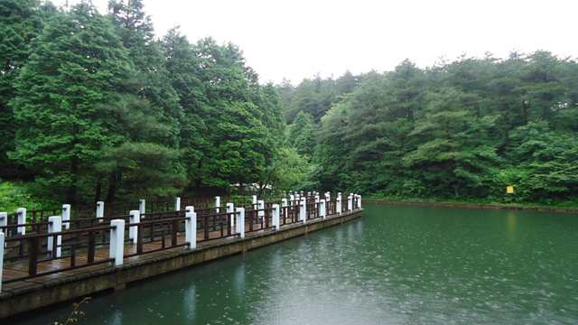 四明山区森林公园,四明山森林公园夏天