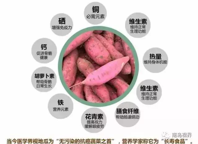 还在纠结送什么礼物吗,海南十大特色伴手礼