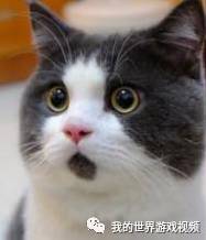 vr版我的世界对面视角,vr裸眼3d视频我的世界