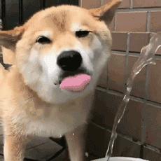 宝宝手上长倒刺脱皮缺什么,宝宝手起疹子皲裂