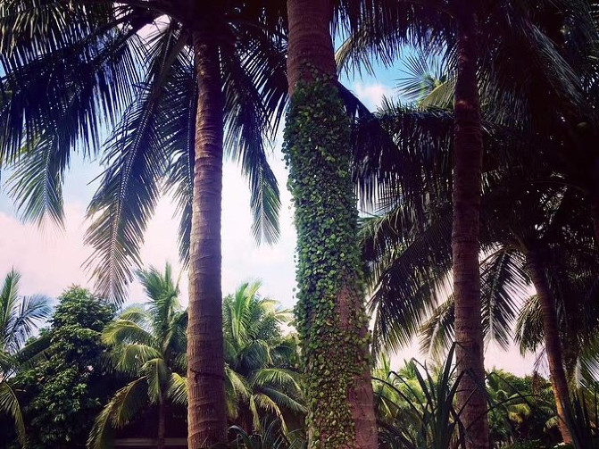 野鹅自驾：3天带你畅玩海口，椰风沐浴，体验不一样的慢旅行！