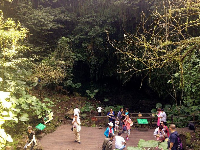 邂逅美丽椰城海口自由行攻略,海南岛自驾游摘椰子