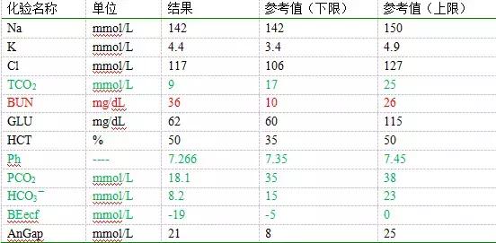 宠物狗胰腺炎的症状与治疗方法,狗狗胰腺炎其实和犬种有关