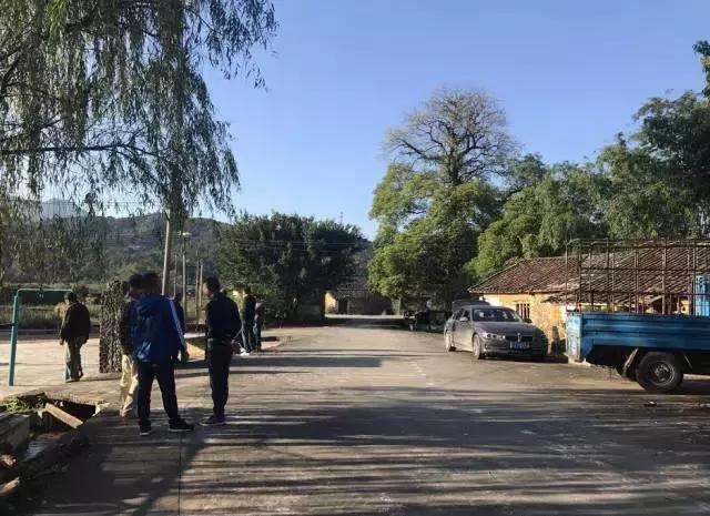 清远市龙颈镇乡村马拉松赛第一名,清远清新龙颈石马风车山马拉松