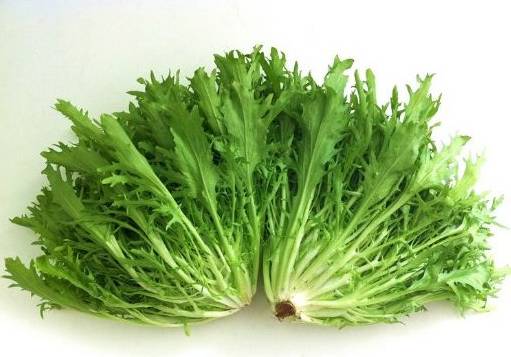 农村常吃的七种野菜,农村常见的60种野菜及功效