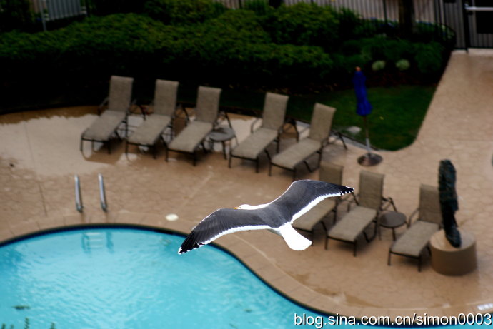圣地亚哥下雨游玩好吗,圣地亚哥在下雨高清