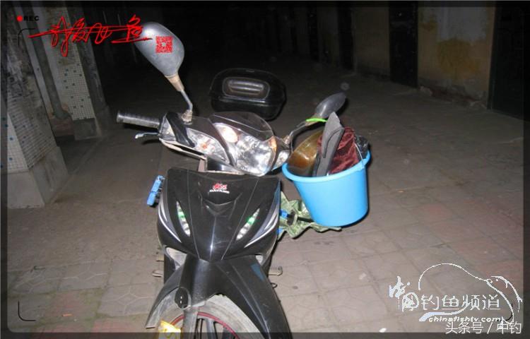 蝙蝠老是来屋里怎么赶走,蝙蝠来屋里怎么办