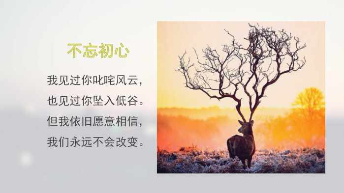 银行科技岗与互联网公司哪个好,互联网公司和科技公司的区别