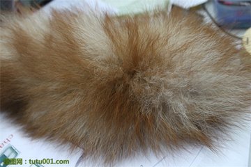 你衣服上的毛领是真的么,买的值不值?教你识别毛领的真假贵贱!