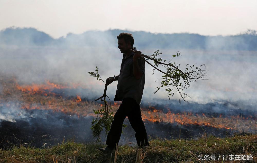 雾霾最严重的地方:去年致死296万人,市长直言“毒气室”