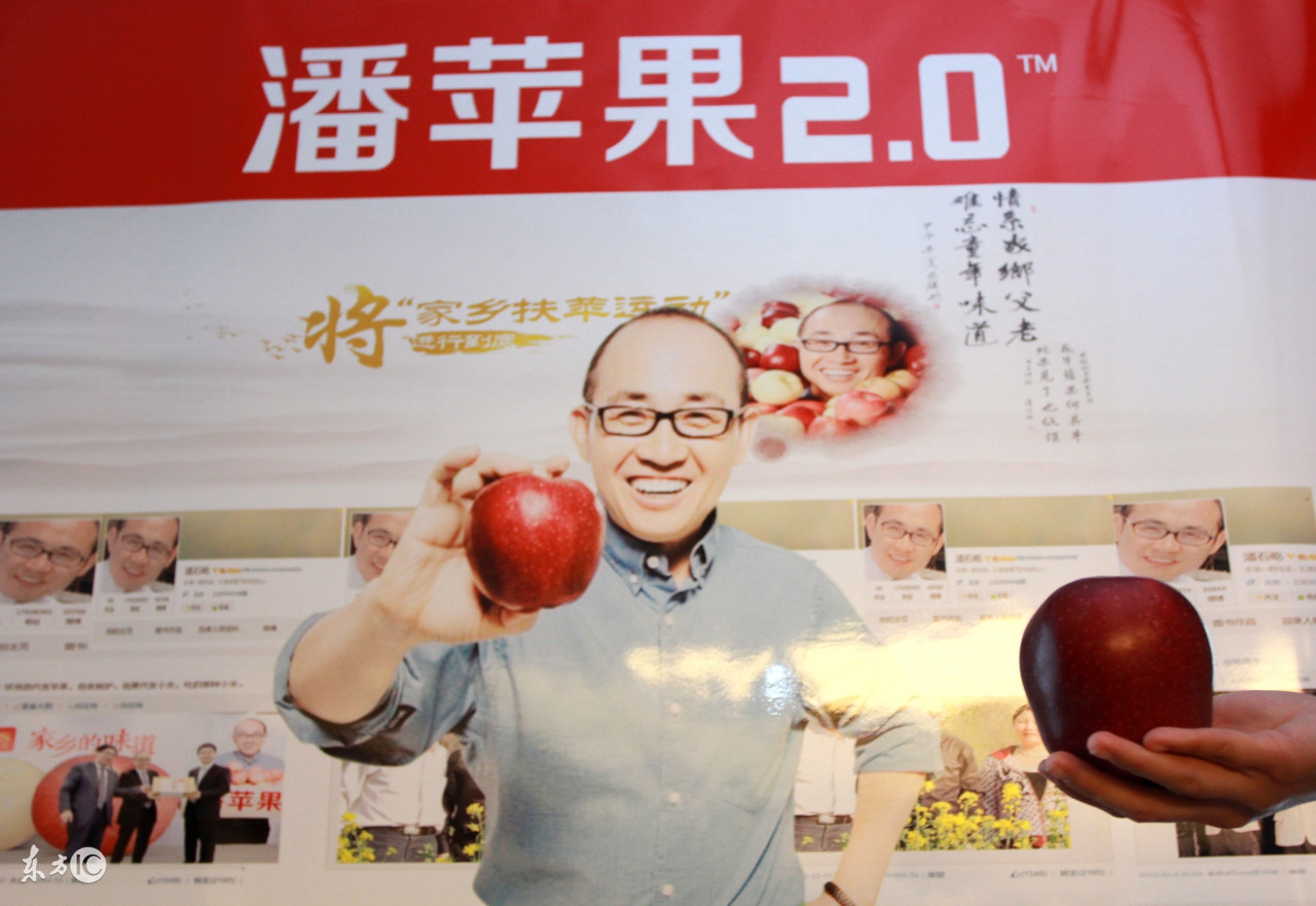 农村电子商务存在问题及解决方案,电子商务进农村示范项目怎么去做