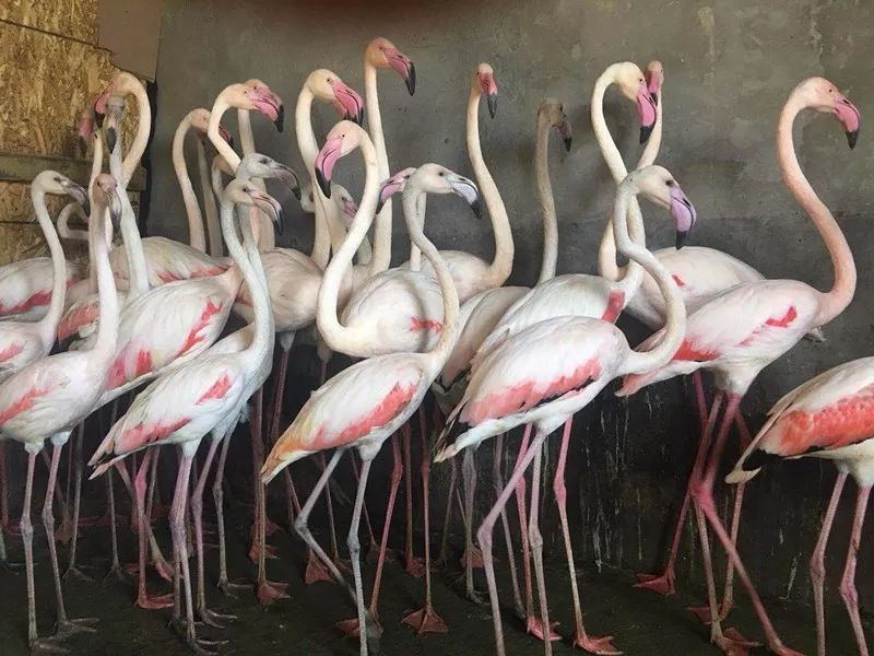 早读天津：今明仍寒冷市区最低-4℃