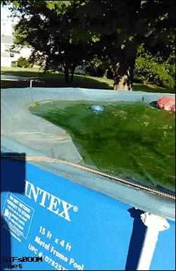 水中跑步机,跑步机正确跑步不伤膝盖的方法