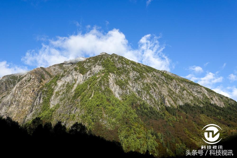 索尼黑卡一镜走天下哪个强,索尼黑卡rx10iv相机怎么样