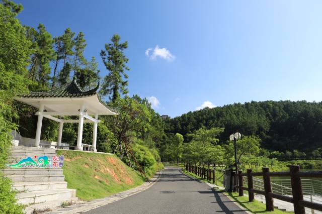 手机看着看着就蓝屏了,点开你的照片手机就死机了