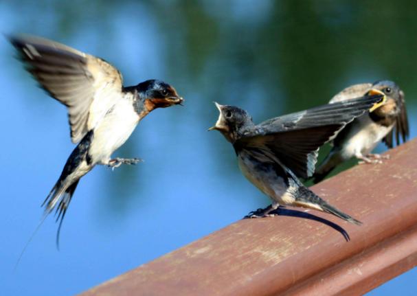 怕病,怕死,怕老,怕不能和你一起远行……