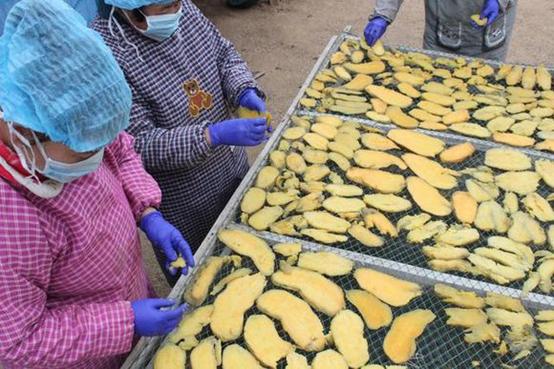 农闲季节挣钱吗,农闲季节赚点钱