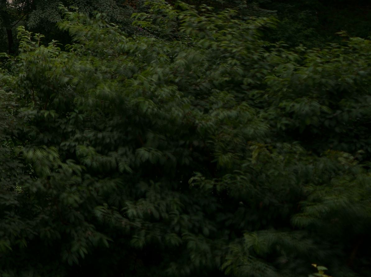 索尼a7r3视频自动追焦,索尼a7r3录视频30分钟