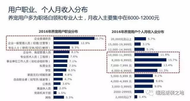 冷门宠物赚钱项目,赚钱小众宠物