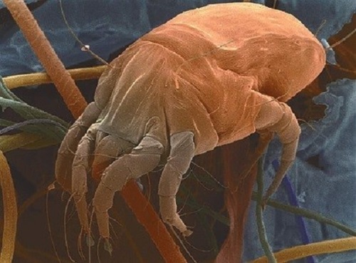 北京的雾霾重不重,哪个城市的灰尘最多