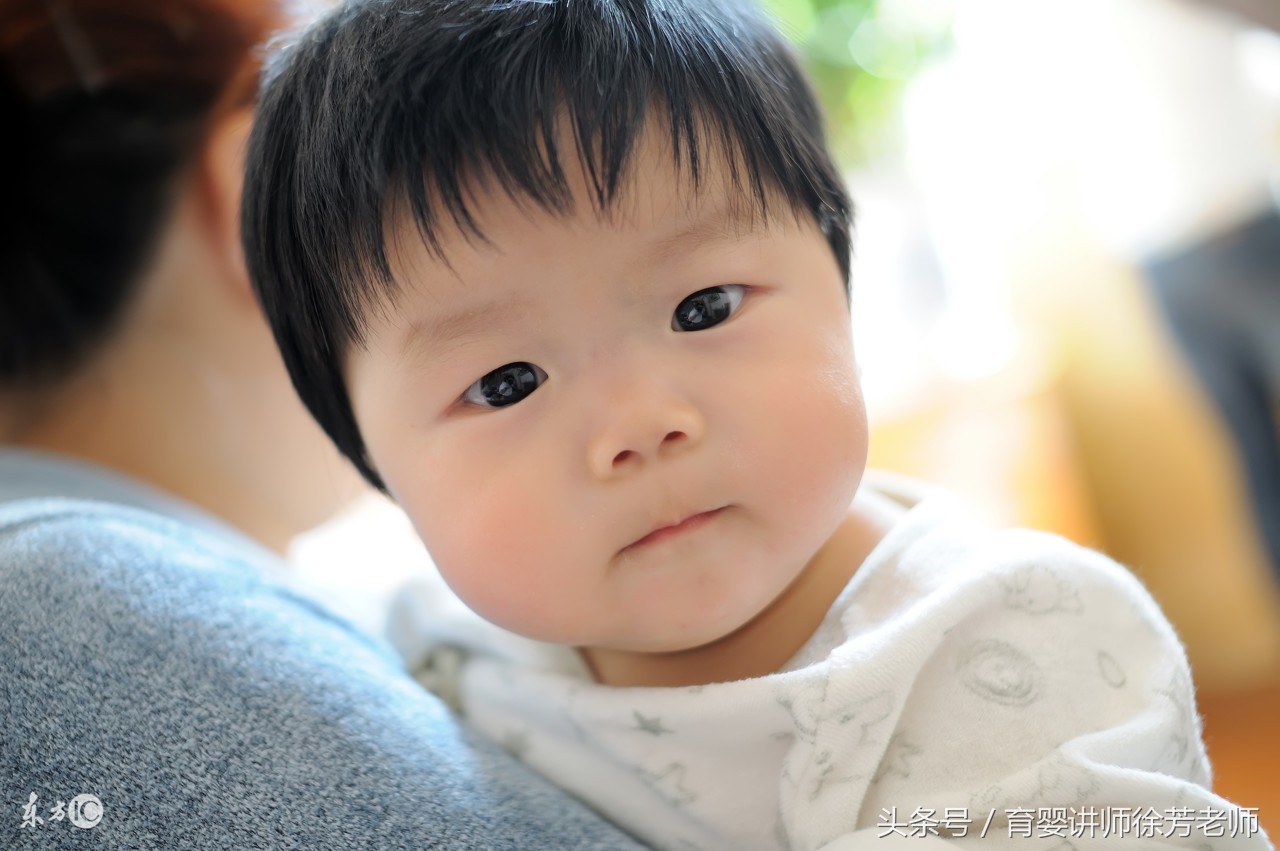 宝宝贫血食补哪些好?这4类食物补铁效果最好,建议收藏转发