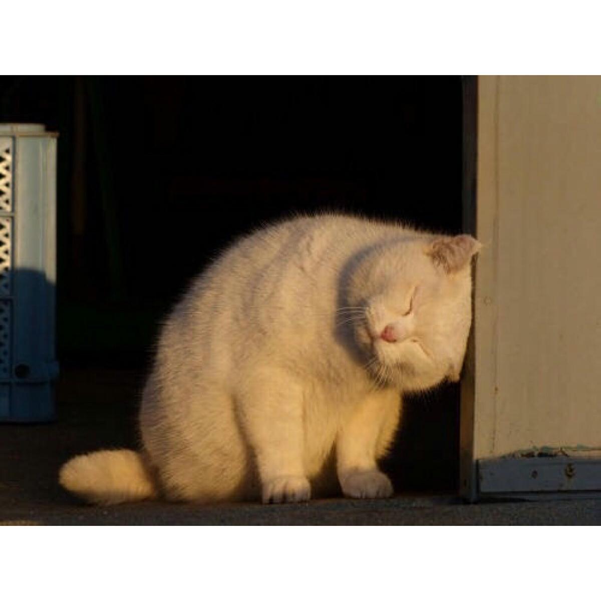 意境微信头像,意境微信相册封面图