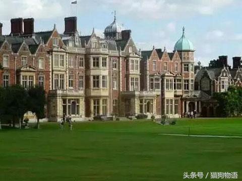 女王最喜欢哪个柯基,女王最喜欢的柯基犬