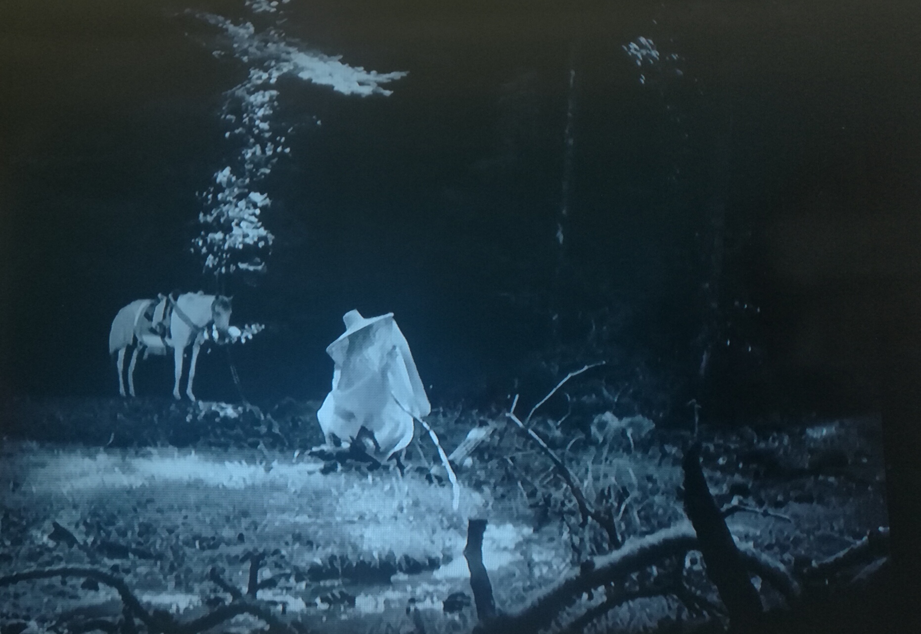 罗生门细思极恐的细节,罗生门真相分析