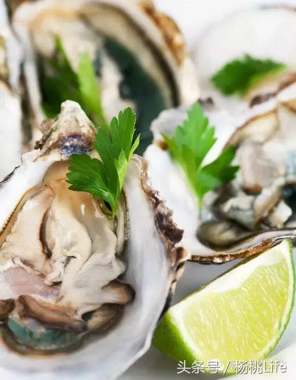 生蚝知识全攻略,蚝门盛宴99块100个生蚝