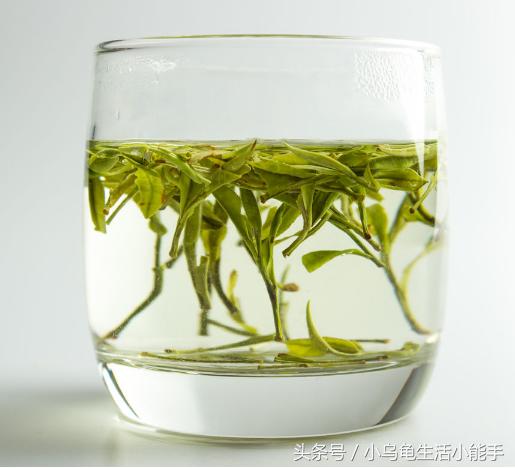 中国十大名茶分别是哪十种茶,安徽名茶中被列为中国十大名茶