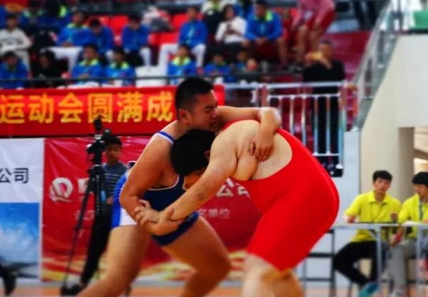 湖北省第十五届省运会金牌榜,湖北省第十四届省运会金牌榜