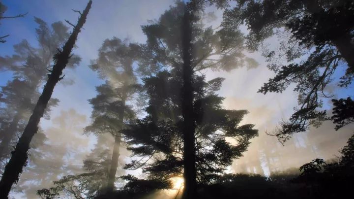 峨眉三山环线,大峨眉旅游西环线