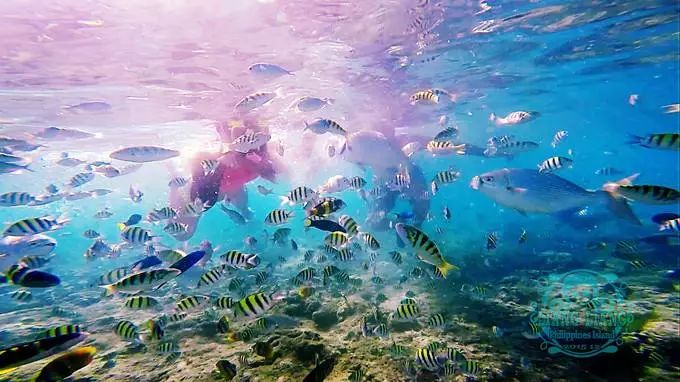 菲律宾最接近天堂的地方,菲律宾最值得去的地方