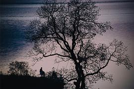 广播文章精选唯美,广播稿精选100字