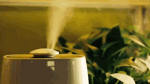 维密7天快速塑形,维密塑形呼吸要点及细节