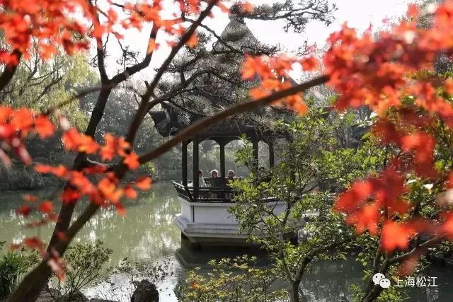 打卡上海这几个风景绝佳的赏秋地,探索最美旅游地点