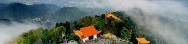 遂宁市十大好人,四川省好人榜四季度