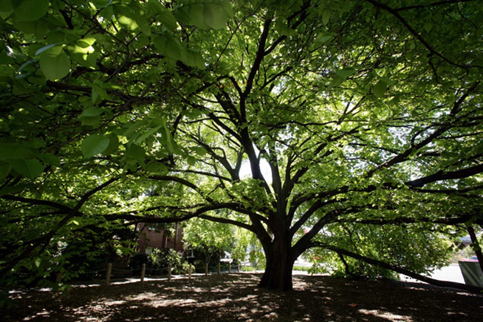 豆瓣日记完整版,豆瓣日记大全