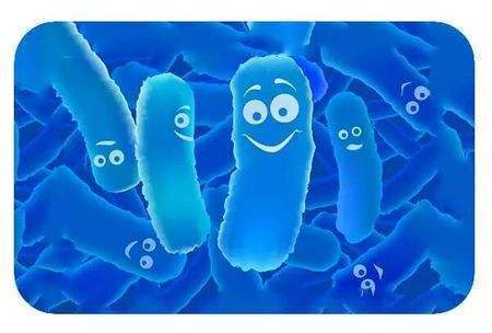 小小招牌益生菌测评,小小益生菌竟然有这么大功效