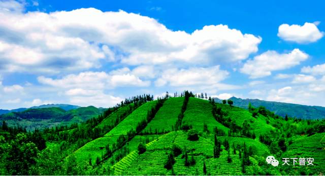 「荐读」尊敬的井冈山,我们来了——普安县2017年非公有制经济培训班学习侧记