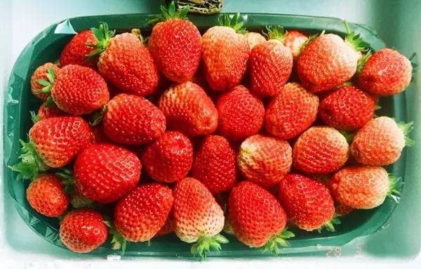 辽宁各地美食分布图,辽宁美食攻略大全