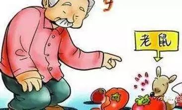 肾综合征出血热治疗好了会传染吗,肾综合征出血热病因和发病机制