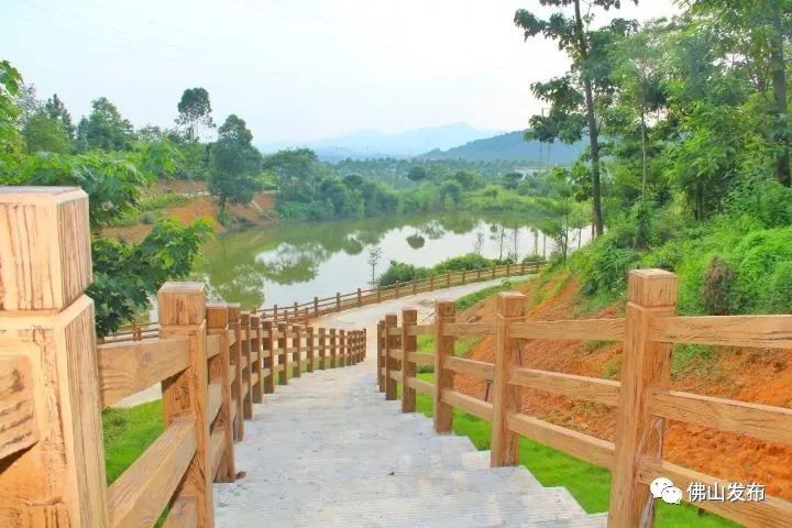 佛山十大森林公园,佛山森林公园在哪里