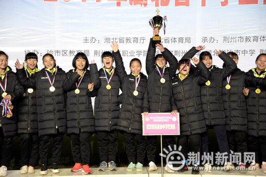 湖北初中生足球联赛赛程,2017年湖北省省级足球赛初中组