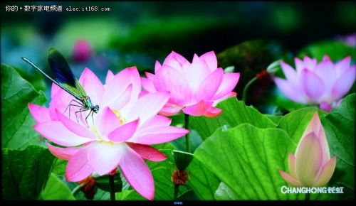 长虹chiq电视55q1r初体验图片,imax观影开启好还是关闭好